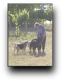 Jane with Riley, Bailey and her dog Nasdaq